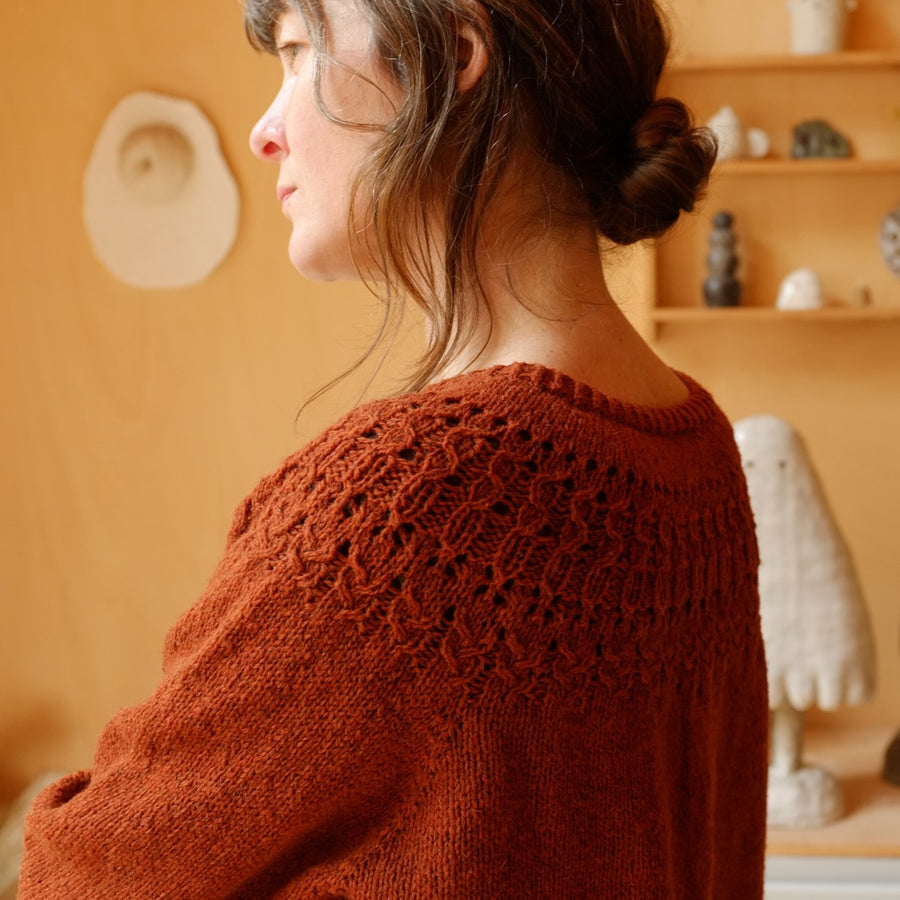 Kit tricot NOCTUA - Orlane Sucche x Xolla Wool x Maison Bonpoil